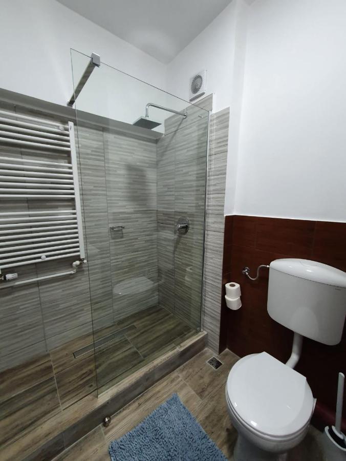 Petrosani Camere De Inchiriat - Hotel Petroshani Srl Экстерьер фото