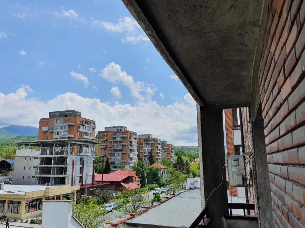 Petrosani Camere De Inchiriat - Hotel Petroshani Srl Экстерьер фото